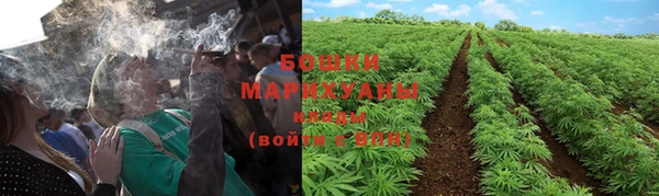 каннабис Верея