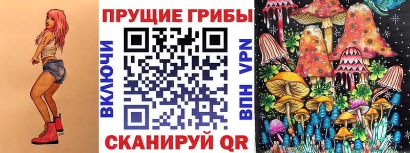 Галлюциногенные грибы GOLDEN TEACHER  OMG сайт  Новочебоксарск 
